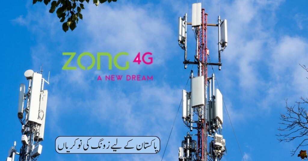 Zong Jobs 2024