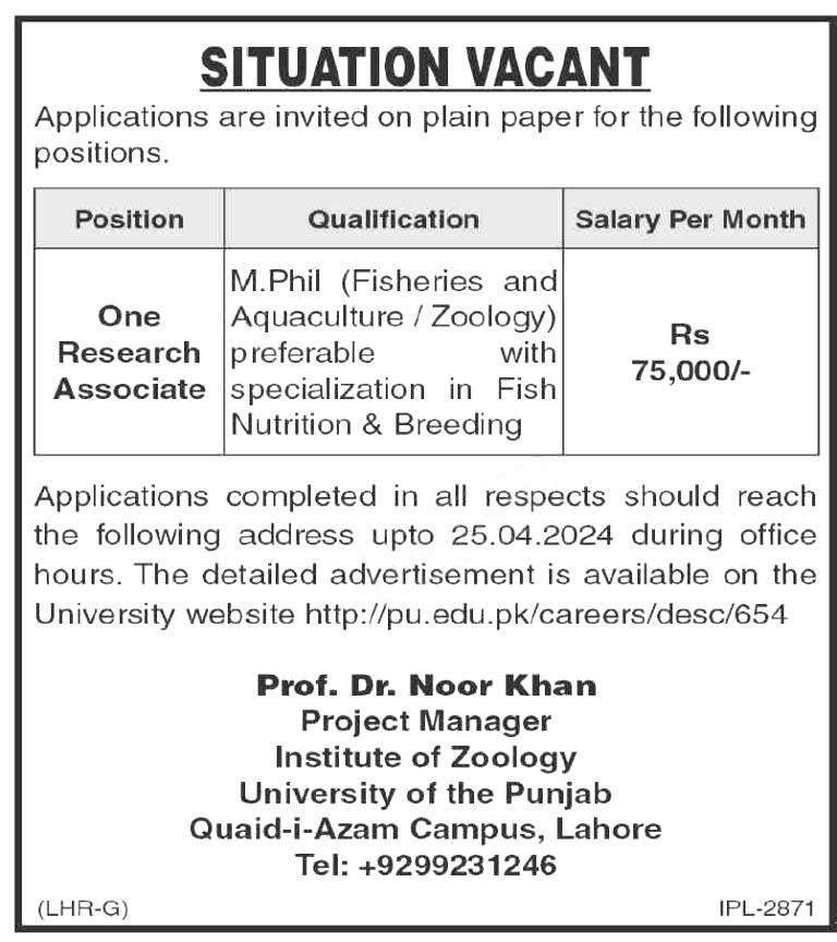 Punjab University Lahore Jobs 2024